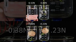 Buoyancy Instructional Video