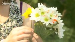 How to Make a Spring Daisy Chain Instructional Video