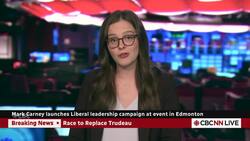Who is Liberal leadership hopeful Mark Carney? | Canada Tonight News Clip