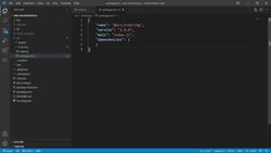 AWS Serverless Microservices with Patterns and Best Practices - Start Developing Ordering Lambda Microservice - Install npm Package -@aws-sdk Instructional Video