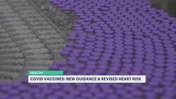 FDA: COVID-19 vaccines will not be widely recommended starting this fall News Clip