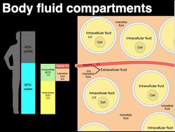 Body fluid compartments Instructional Video