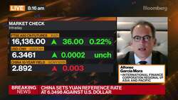 IFC's Garcia Mora on Climate Change, Sustainability News Clip