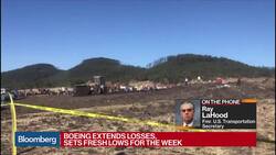 LaHood Says Trump, Boeing Should Be Given Credit for Grounding 737 Max Planes News Clip