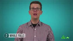 5 Ecosystems Thriving in the Least Likely Places Instructional Video