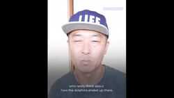 'Even though the world forgot, Japan still slaughters dolphins' News Clip