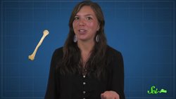 You're Losing Bones Right Now Instructional Video