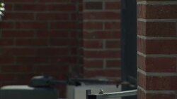 Crime scene a month on from Trayvon Martin's death News Clip