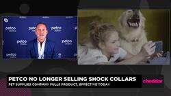 Petco Drops Shock Collars, Focuses on Pet Wellness News Clip