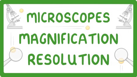 GCSE Biology - What is Microscopy? #5