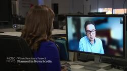 Activist pins whale sanctuary hopes on tiny Nova Scotia town News Clip