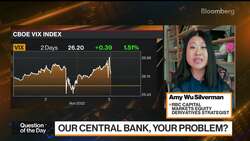 RBC's Silverman Doesn't See Volatility Blowup in Stocks News Clip