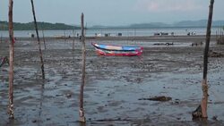 CLEAN : Mass deaths of molluscs alarms fishermen in El Salvador News Clip