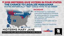 How Could the Midterms Change Cannabis Laws? News Clip