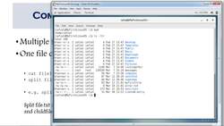 Complete Linux Training Course to Get Your Dream IT Job - Combining and Splitting Files Instructional Video
