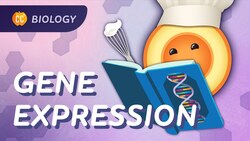 How Genes Express Themselves: Crash Course Biology #36 Instructional Video