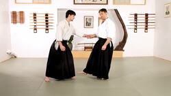 Principles of Aikido Instructional Video