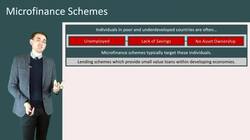 The Role of Microfinance Schemes in Developing and Emerging Economies Instructional Video