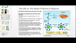 Apoptosis and the Physiology of Caspases Instructional Video