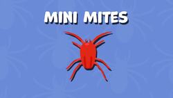 High Five Facts - Arachnids Instructional Video