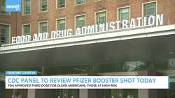 CDC Advisers Try To Work Out The Details On Booster Shots News Clip