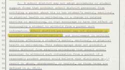 In Real Life: We Say Gay News Clip