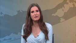 Police: 2 suspects wanted for stealing over $1,000 worth of electronics from Sayville Target News Clip