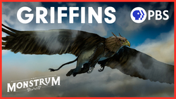 Why Has the Majestic Griffin Been Forgotten? Instructional Video