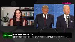 Cannabis Takes a Back Seat in First Presidential Debate News Clip