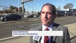 LI's GOP senators call on Hochul to stop congestion pricing News Clip