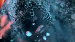 CLEAN : Ghost fishing gear: the trash haunting ocean wildlife News Clip