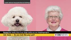 Do you look like your pet? News Clip