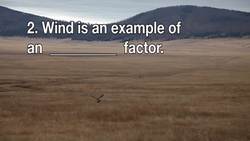 Ecosystems Quiz Instructional Video