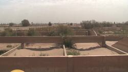 Declining rainfall hits oases and forests News Clip