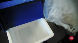 TED: How to support and celebrate living artists | Swizz Beatz Instructional Video