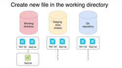 Complete Git Guide: Understand and Master Git and GitHub - Git Files Lifecycle Instructional Video