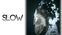 Learn English Words: Fast/Slow Instructional Video