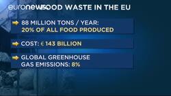 New EU drive aims to slash food waste News Clip