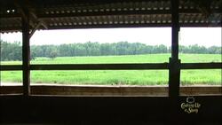 Resilience in the Field: How Diversification Saved a Farm Instructional Video