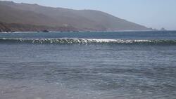 The Force of Gravity Instructional Video