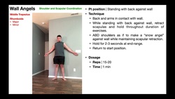 TherEx | Wall Angels for Scapular/Glenohumeral Coordination Instructional Video