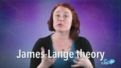 What Makes a Feeling an Emotion? Instructional Video