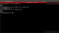 Bash Shell Scripting - Standard I/O Demo Instructional Video