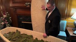 Want to be buried in a mushroom casket? In Sudbury, Ont., that's now an option News Clip