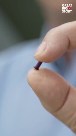 Rebuilding a legend, the Spitfire restoration journey Instructional Video