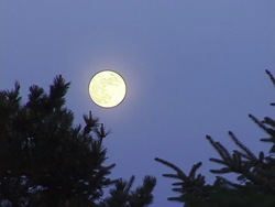 Explorando la Tierra, el sol y la luna: video de evaluación Instructional Video