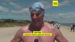 South African swims around Martha's Vineyard to raise awareness of need to protect sharks News Clip