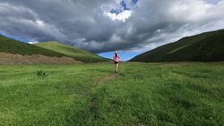 Young fitness woman trail runner running on grassland Stock Footage