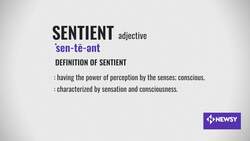 What Would A Sentient, Conscious Robot Mean For Humans? News Clip