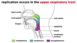 Smallpox (Variola Virus) Instructional Video